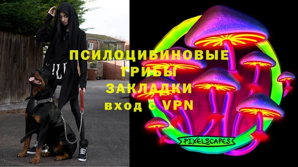 спайс Гусиноозёрск