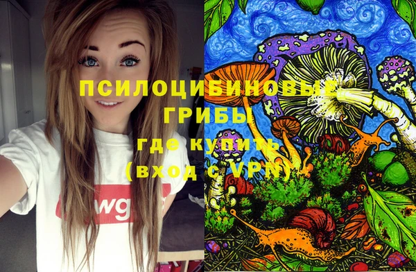 apvp Вязники