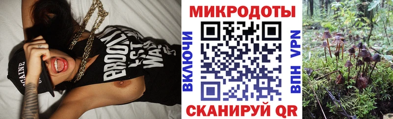 Галлюциногенные грибы Psilocybe  KRAKEN вход  Димитровград 